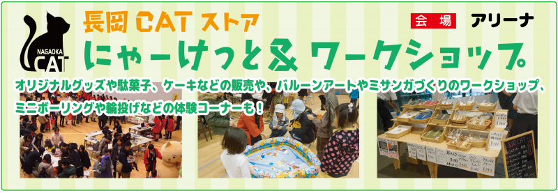 長岡CATストア