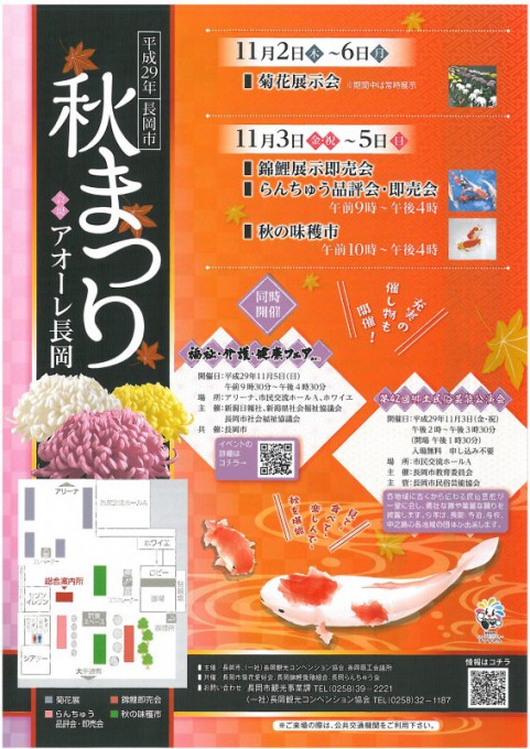 チラシ表