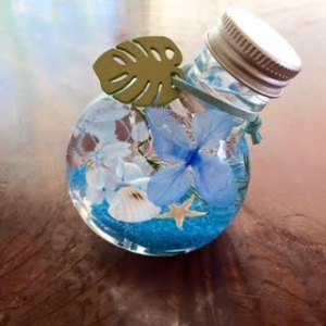 ナガオカアロハフェス × 長岡のまちなか コラボ 第1弾 ナガオカアロハフェス × 長岡のまちなか コラボ 第1弾